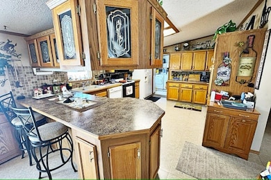 415 Wagner St, Duncombe, IA 50532 - photo 4