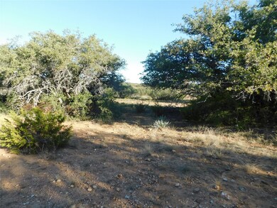 Tract 3 County Road 131, Brownwood, TX 76801 - photo 6