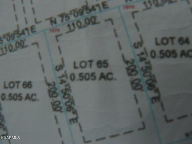 Lot 65 Schertz Ln, Rutledge, TN 37861 - photo 2