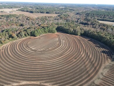 19800 Tervin Mill Rd, Andalusia, AL 36421 - photo 4