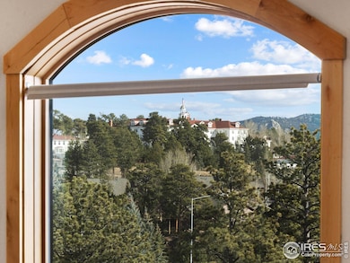 147 Willowstone Dr unit 2, Estes Park, CO 80517 - photo 7