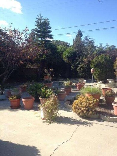 Second part of back yard with fruit trees.  Easy m