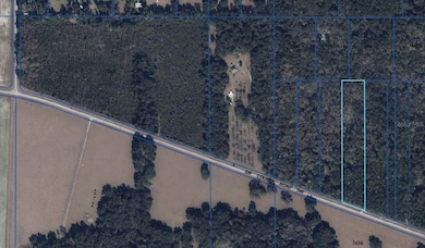 7922 SW County Road 346, Archer, FL 32618 - photo 2