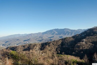Additional View 4