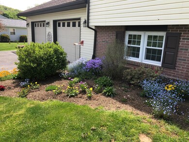More Blooms