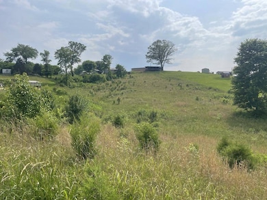 Tract 17A Billy Herold Johnson Subdivision, Albany, KY 42602 - photo 3