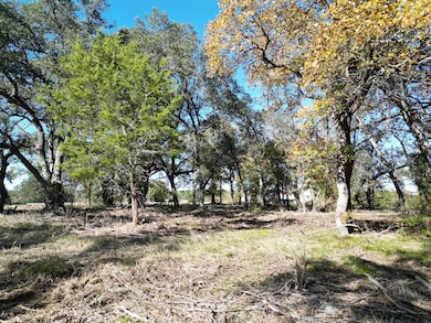 205 Serenity Dr, Liberty Hill, TX 78642 - photo 4