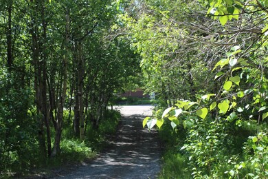 Long private driveway