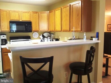 9141 Gracious End Ct, Columbia, MD 21046 - photo 2