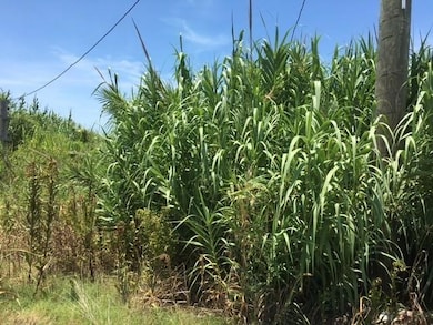 57178 Ridgeway Blvd, New Orleans, LA 70129 - photo 2
