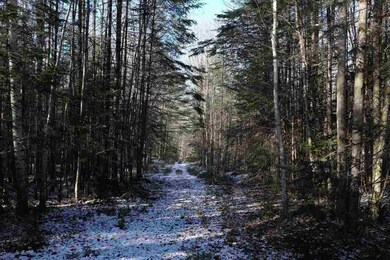 5-23 N Littleton Rd, Littleton, NH 03561 - photo 7