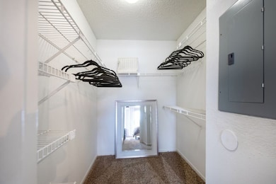 Model Unit
