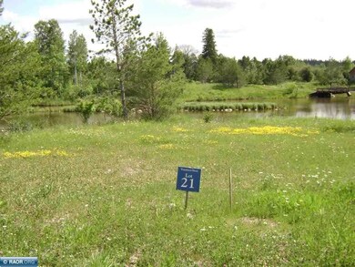 80048 Tamarack, Tower, MN 55790 - photo 4