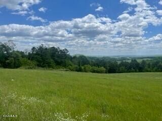 2 Clark Rd, Rutledge, TN 37861 - photo 6