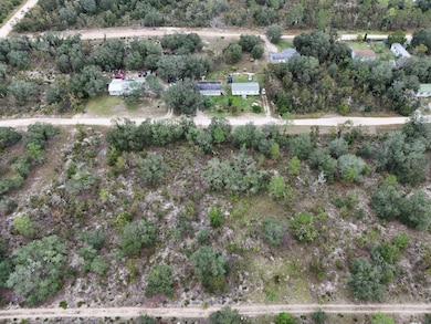 0 NE 62nd St unit MFRTB8436970, Williston, FL 32696 - photo 4