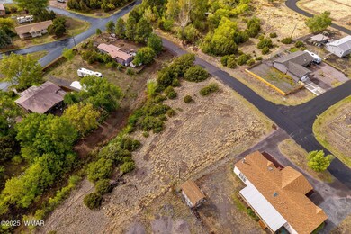 00 W Tbd 10th St, Eagar, AZ 85925 - photo 5