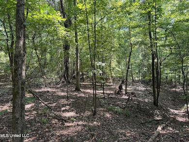 0001 Old Dover Rd, Yazoo City, MS 39194 - photo 2