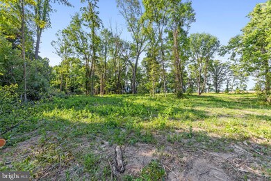 -0- Swartz Rd unit 3.2 & 3.9 ACRES, Woodstock, VA - photo 7
