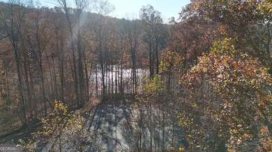 LOT 198 N Shore Dr, Cleveland, GA 30528 - photo 6