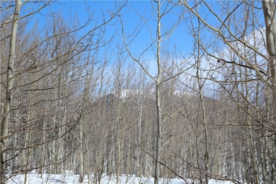 568 Dry Lake Rd, Fairplay, CO 80440 - photo 5