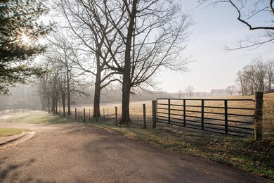 151 S Bold Forbes Blvd, Georgetown, KY 40324 - photo 4