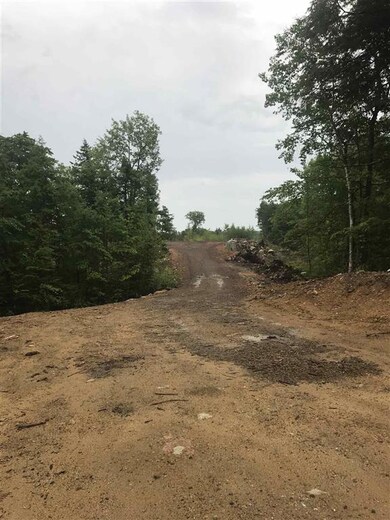Map 11 Lot 64-1&2 & Lot 66 Roller Coaster Rd, Strafford, NH 03884 - photo 5