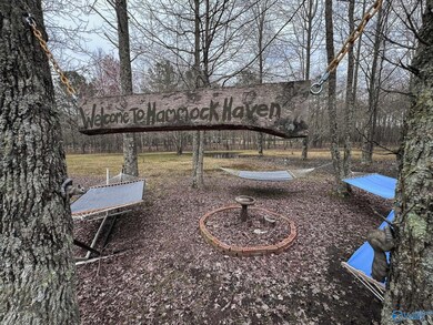 Hammock's will stay!!!