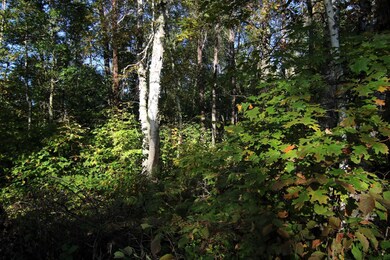 L4 B20 WB16 Summer Dr, Breezy Point, MN 56472 - photo 4