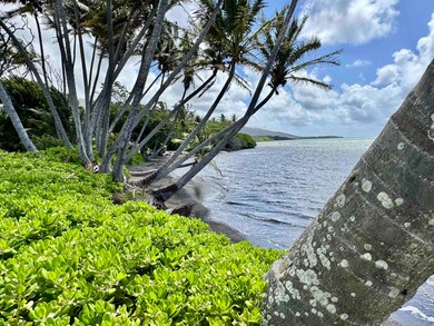 7220 Kamehameha V Hwy unit Kahananui  LOT B, Kaunakakai, HI 96748 - photo 6