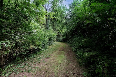 5-web-or-mls-4004-sintz-rd
