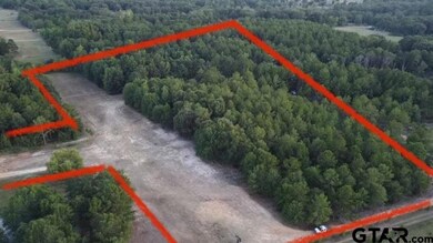 TBD Tbd Cr 233, Arp, TX 75750 - photo 3