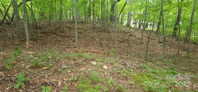 Lot 80 Serpentine Dr unit 80A, Columbus, NC 28722 - photo 7