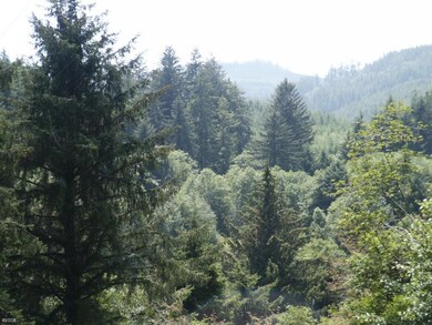 0 Little Nestucca Hwy unit 11-953, Cloverdale, OR 97112 - photo 5