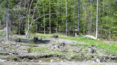 5062 20 Mile Stream Rd, Cavendish, VT 05153 - photo 2