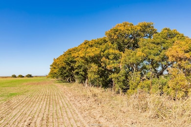 Fm2142, Hamlin, TX 79520 - photo 4