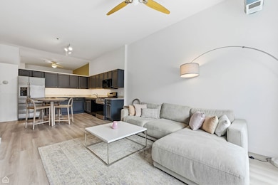 Rennaissance Place unit 215S, Chicago, IL 60615 - photo 5