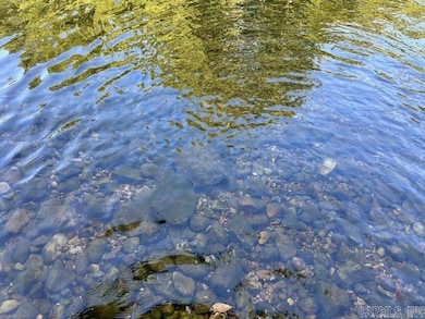 000 Grandpa Jones Rd, Mountain View, AR 72560 - photo 2