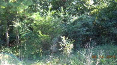 0 County Road 797, Powell Township, AR 72417 - photo 2