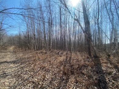 ON Up River Rd, Phillips, WI 54555 - photo 2