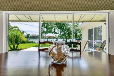 Watch Manatees and Dolphins while drinking your co