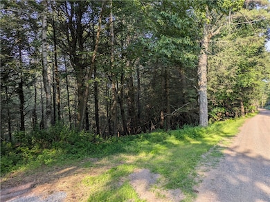 29 Peter's Ln, Gilboa, NY 12076 - photo 3