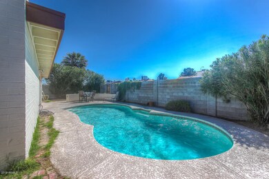 Sparkling pool!