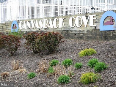 313 Red Head Way unit B, Havre de Grace, MD 21078 - photo 6