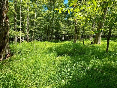 00 Kerness Rd, Wawarsing, NY 12428 - photo 7