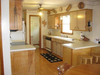 1041 Aster St, Wayland, MI 49348 - photo 5