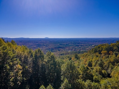 50 Acres Spring Valley Rd, Fancy Gap, VA 24328 - photo 4