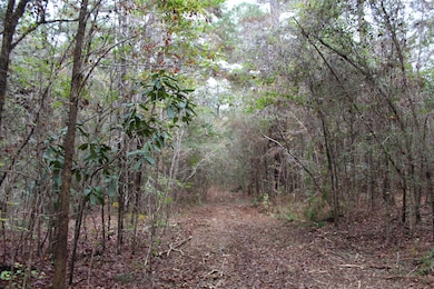 100AC County Highway 183, Ponce de Leon, FL 32455 - photo 5