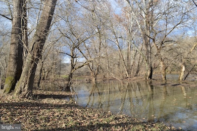 0 Deer Rapids Rd unit VASH107282, Strasburg, VA 22657 - photo 6