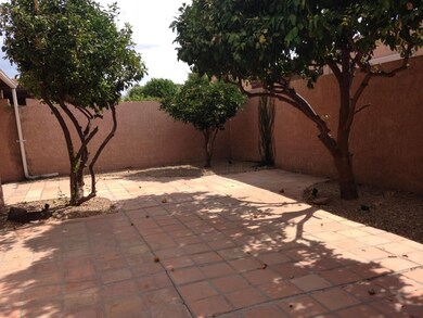 Private back patio with 4 citrus trees
