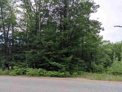 0 N Line Rd unit 4872232, Wolfeboro, NH 03894 - photo 5